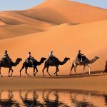 Le tourisme a pesé pour 6,8% dans le PIB national en 2017